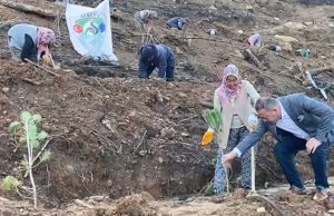 Denizli’de 5 bin fidan toprakla buluştu