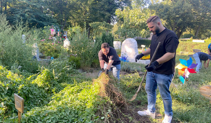 DİTİB Mevlana Camii gönüllüleri, mezarlık temizliğine el uzattı