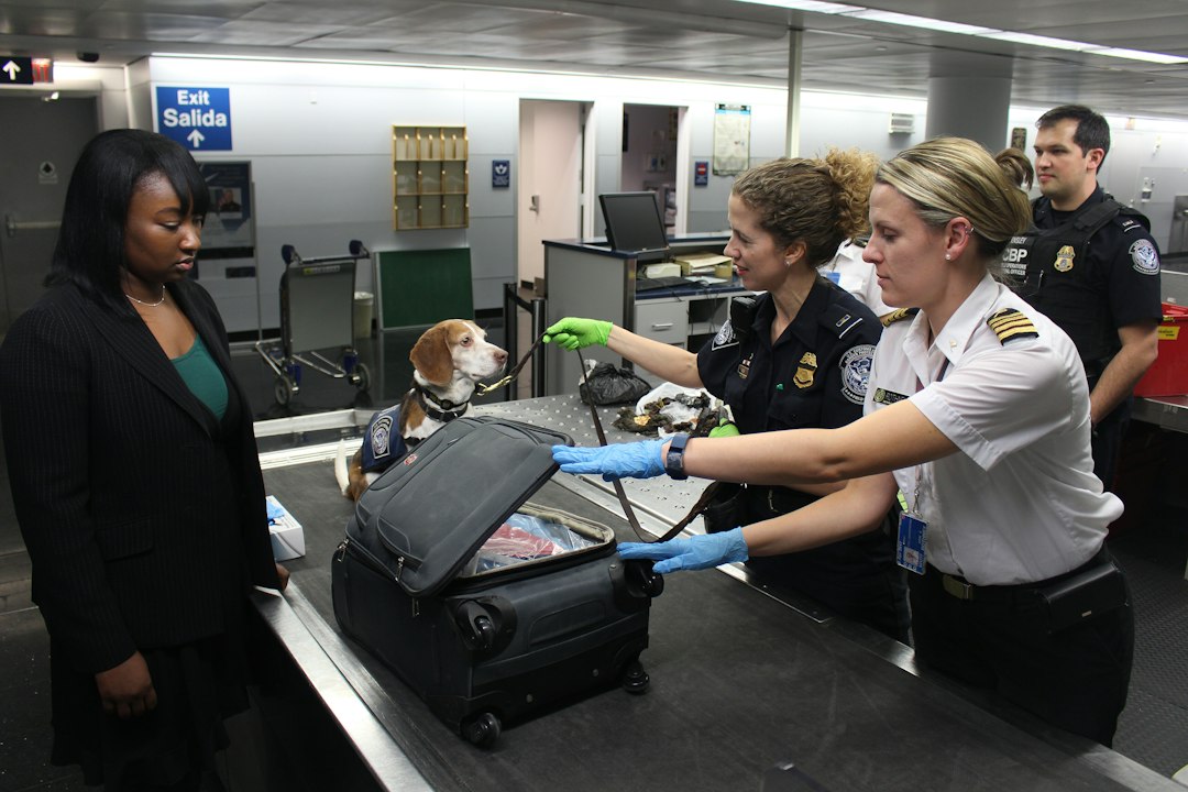 Kontrolle von Gepäck an einem Flughafen