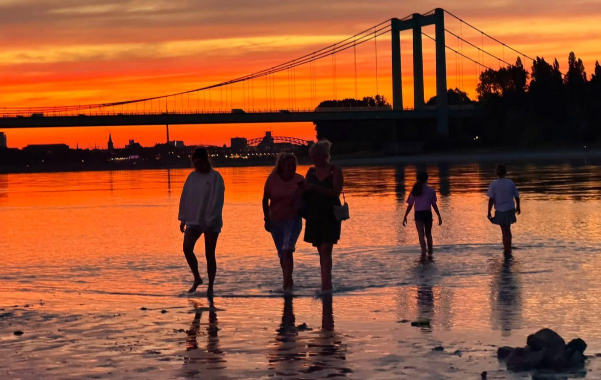 Ren Nehri’nde düşük su seviyesi sürüyor: Köln’de su seviyesi 65 santimetre civarında