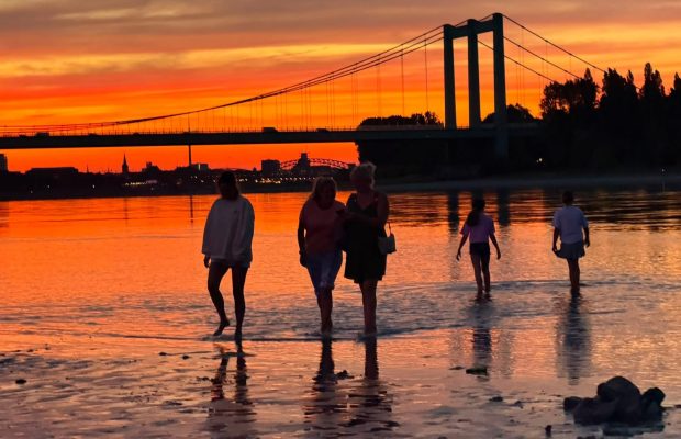 Ren Nehri’nde düşük su seviyesi sürüyor: Köln’de su seviyesi 65 santimetre civarında
